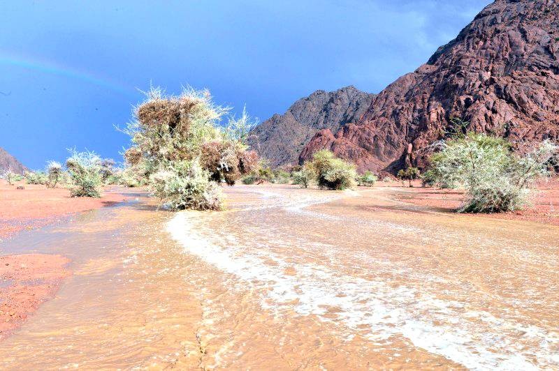 المطر والبرد يحول الدراسة في حائل عن بعد لليوم الثاني