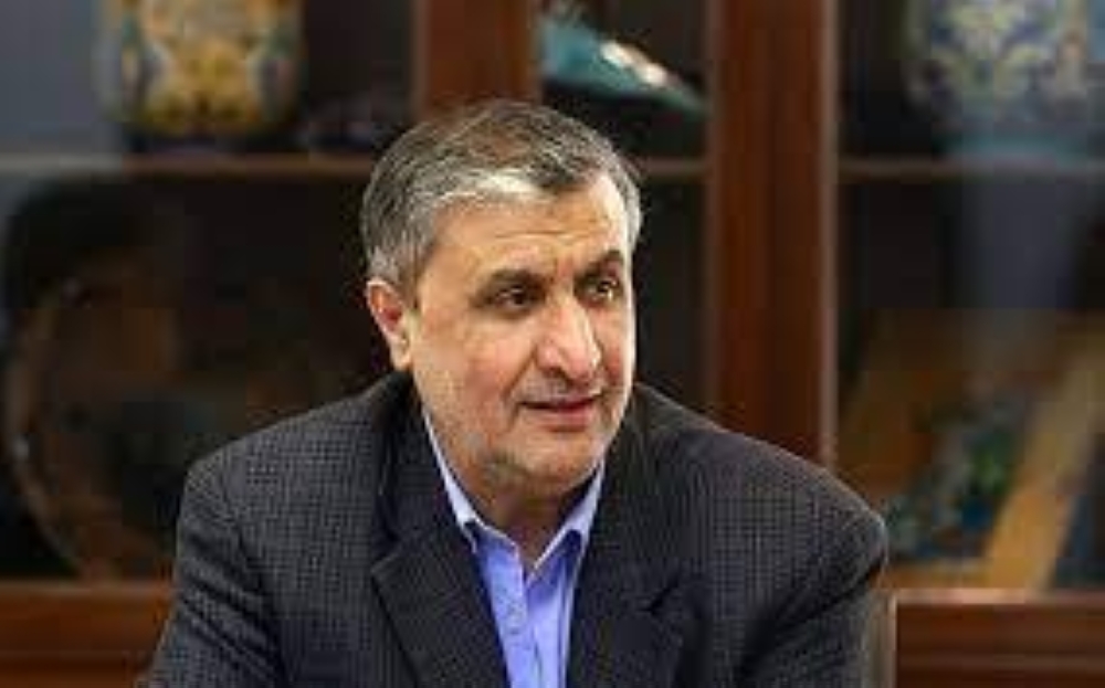 رئيس منظمة الطاقة الذرية الإيرانية محمد إسلامي
