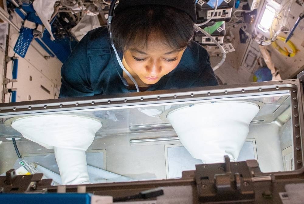ريانة برناوي أثناء تجربة استجابة الخلايا المناعية للالتهابات في محطة الفضاء الدولية