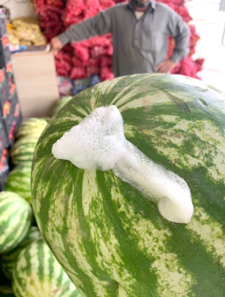 



ظهور سوائل بيضاء غير طبيعية تخرج من فاكهة البطيخ.