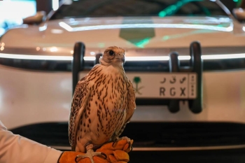 لوحة «ص ق ر 2024» لمركبة «المرور» تلفت أنظار زوار «الداخلية» في معرض الصقور والصيد