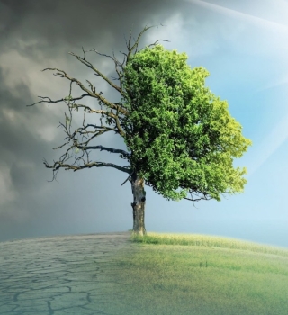 القانون البيئي السعودي.. أداة ردع وحماية لضمان استدامة الموارد