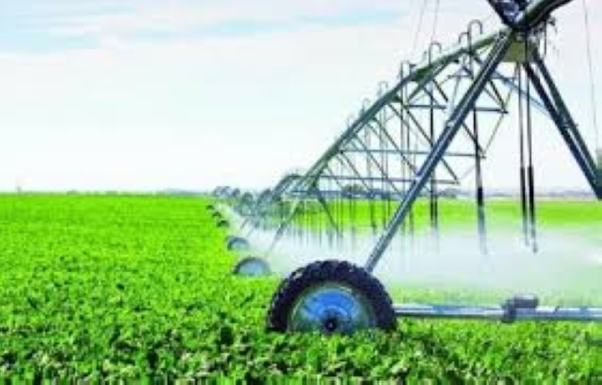 «البيئة»: 31.5 مليار دولار مساهمة «الزراعي» في الناتج المحلي