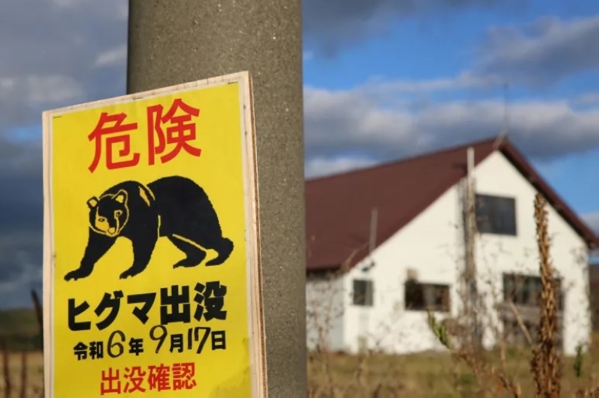 رعب في اليابان: الدببة تنذر بكارثة.. والجيش يتدخل! – أخبار السعودية رعب في اليابان: الدببة تنذر بكارثة.. والجيش يتدخل! – أخبار السعودية